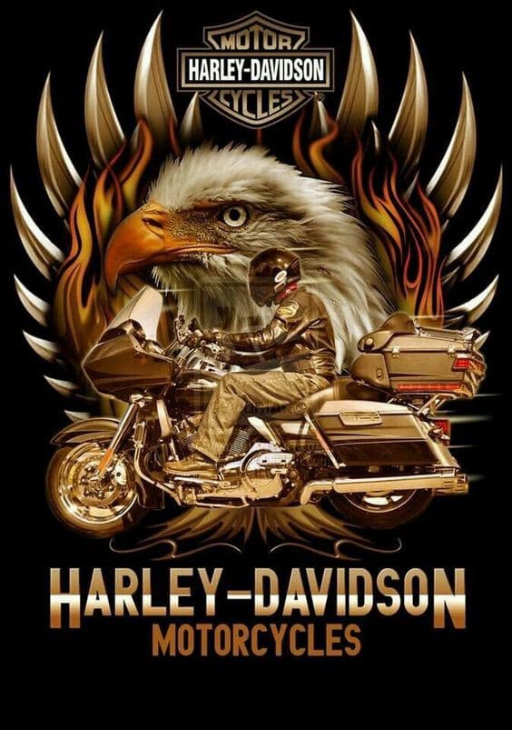 Harley-Davidson — 8
