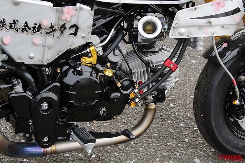 Обезьяньи фокусы: Honda Monkey 125 превратилась в кафе-рейсер — 6