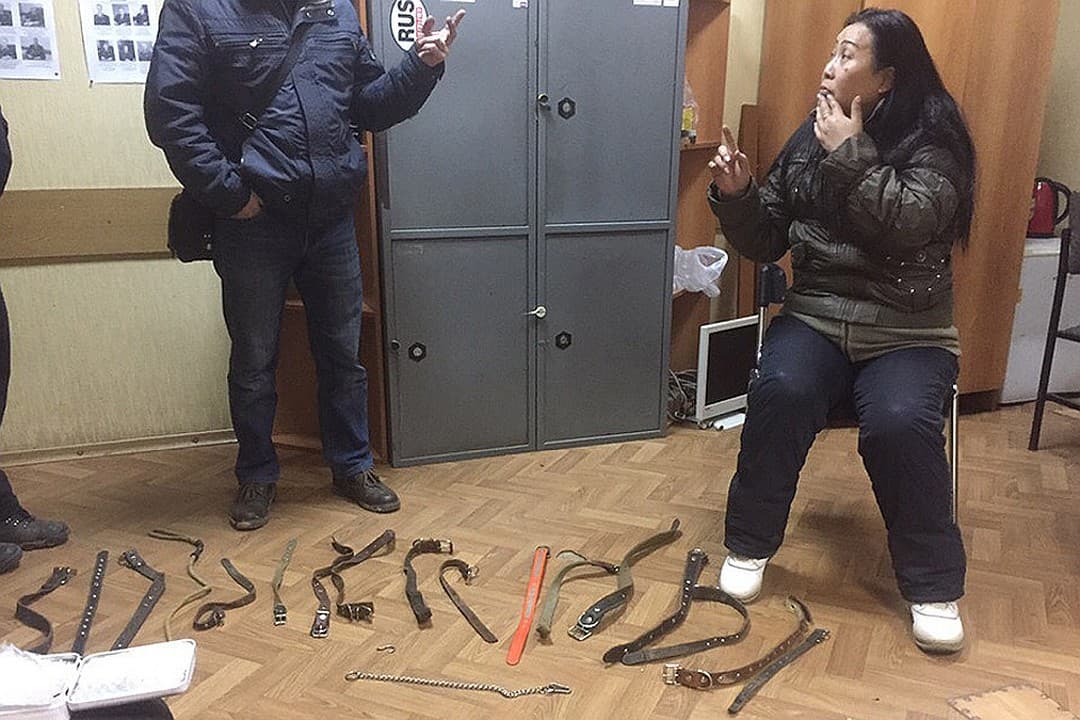 Жуткая история — 4