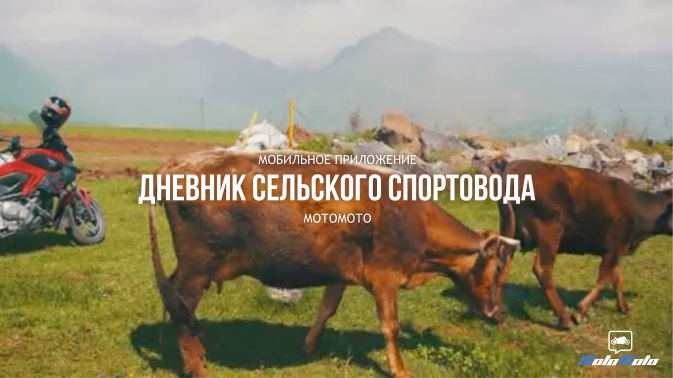 Дневник сельского спортовода — 2