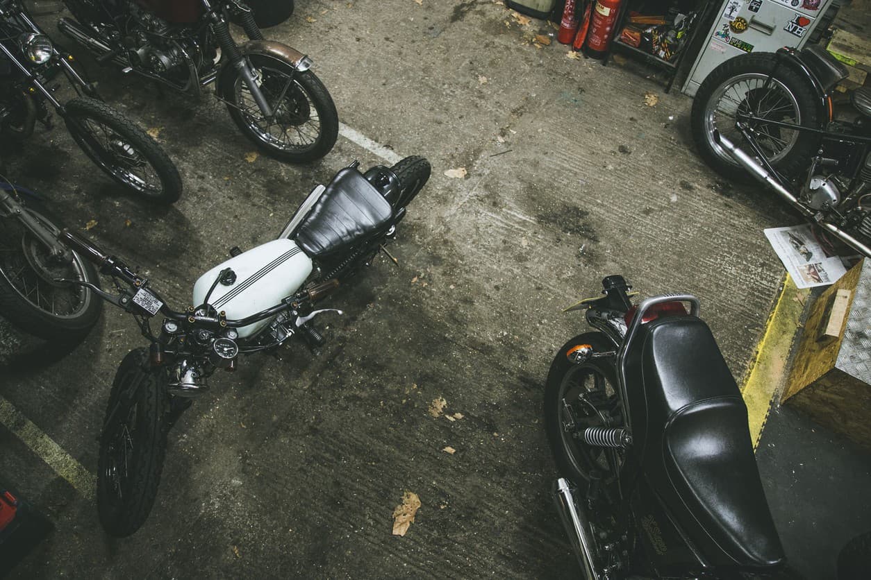 A sisterhood of the saddle — 10