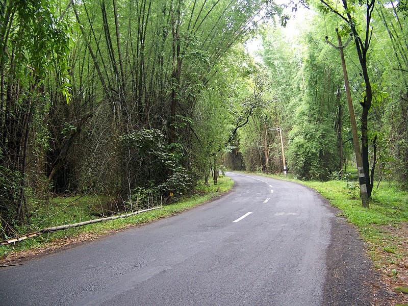 Road Trips: — 6