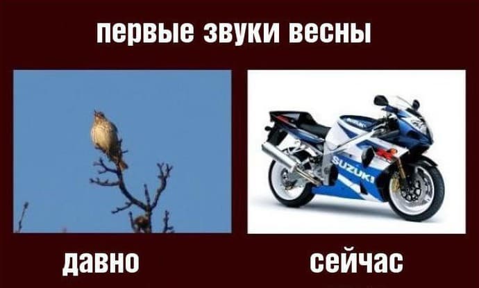 Мемасы про открытие сезона — 8