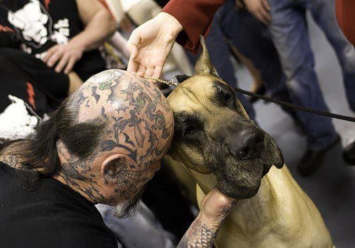 Rescue Ink — 2