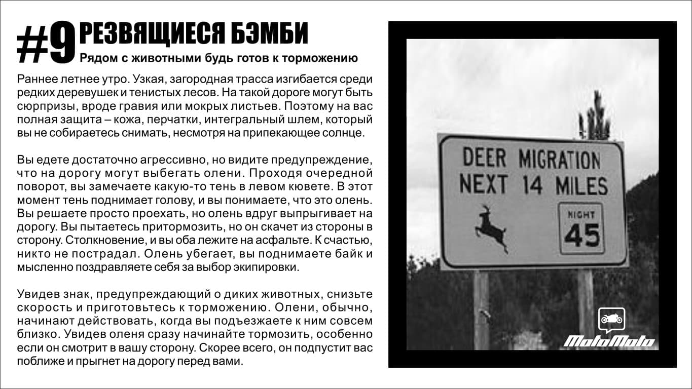 Дорожная стратегия — 10